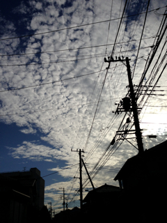 f0179947_22585888.jpg