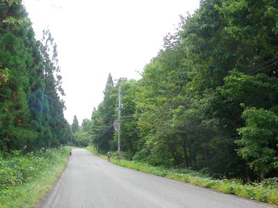 b0220251_13172025.jpg