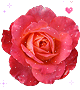b0133752_14253768.gif