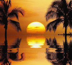 b0133752_16432834.gif