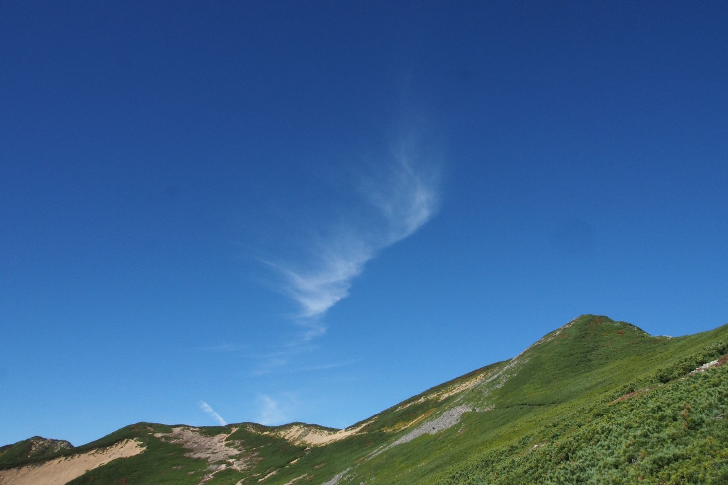 e0307372_245516.jpg