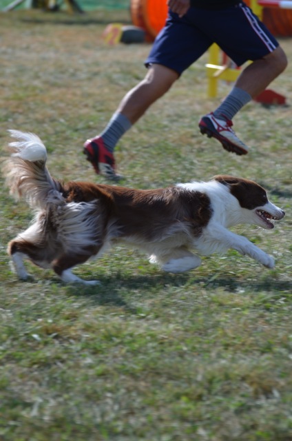 c0268774_2118516.jpg