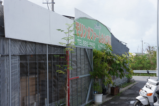 b0139477_1463356.jpg