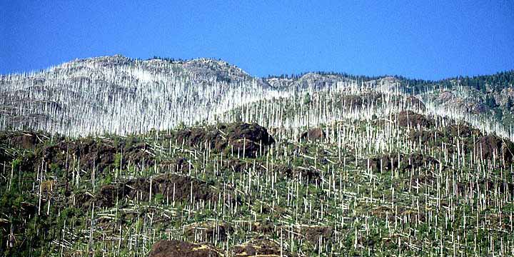c0170789_150225.jpg