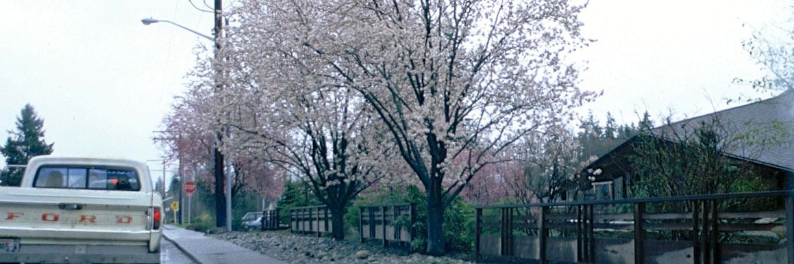 c0170789_15182512.jpg