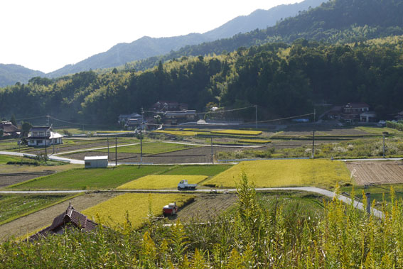 f0222692_1113435.jpg