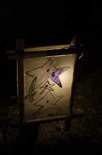 f0226293_731681.jpg