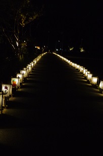 f0226293_732869.jpg