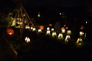 f0226293_73406.jpg