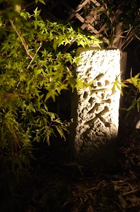 f0226293_744199.jpg
