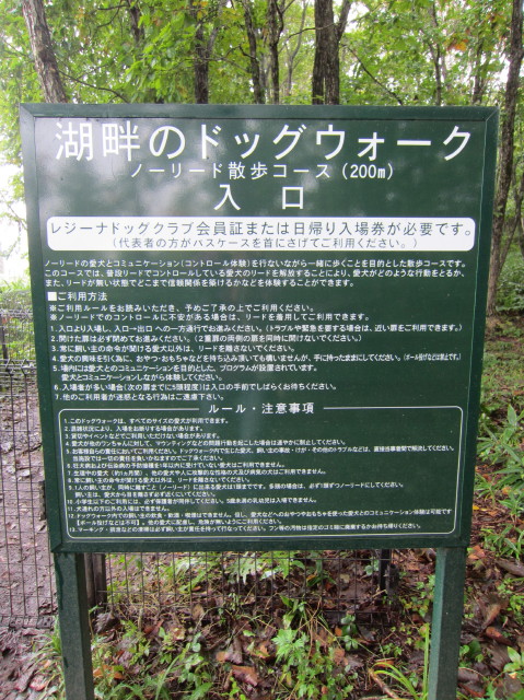 d0098295_22574384.jpg