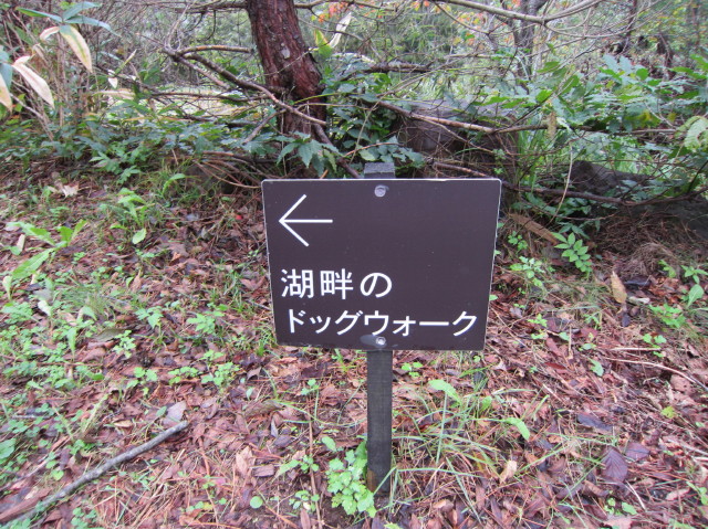 d0098295_22574959.jpg