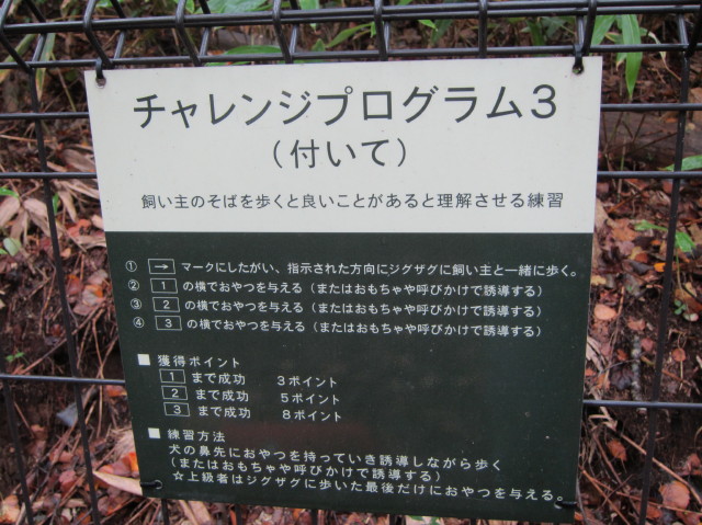 d0098295_2311890.jpg