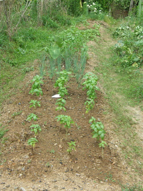 e0017396_22245550.jpg