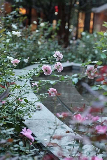 e0209997_1443967.jpg