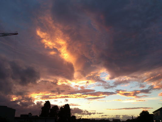 b0160300_2248594.jpg
