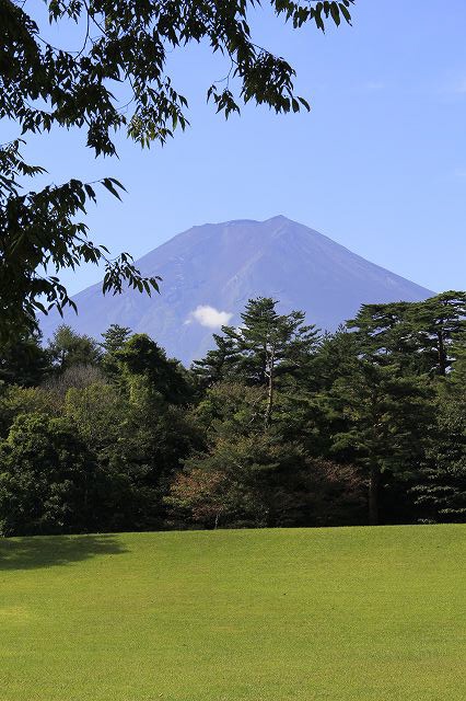 a0188405_153810100.jpg