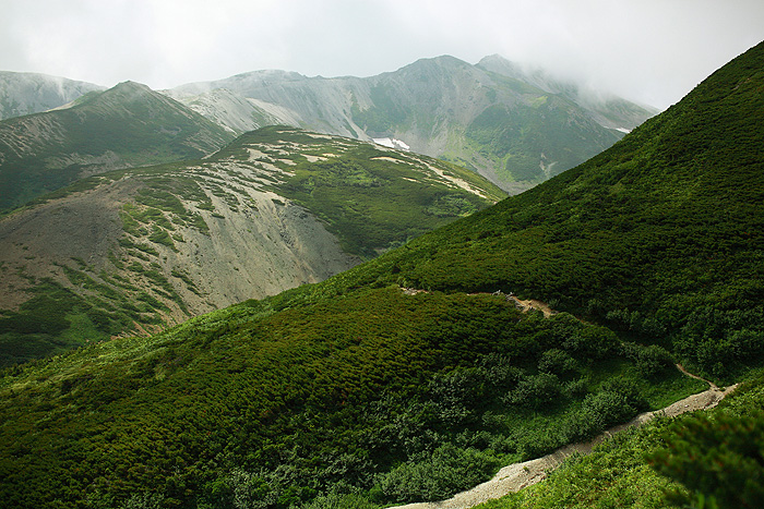 a0148606_11365185.jpg