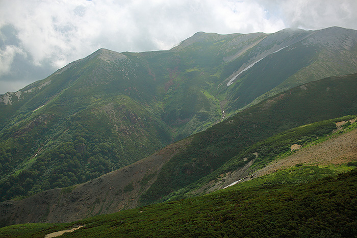 a0148606_11373195.jpg