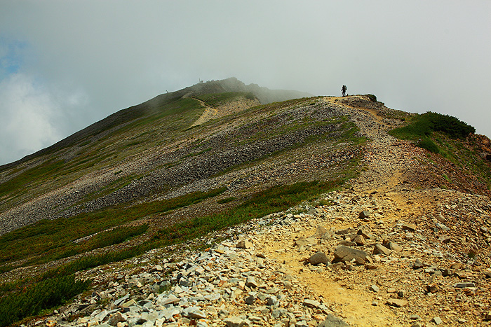 a0148606_11474689.jpg