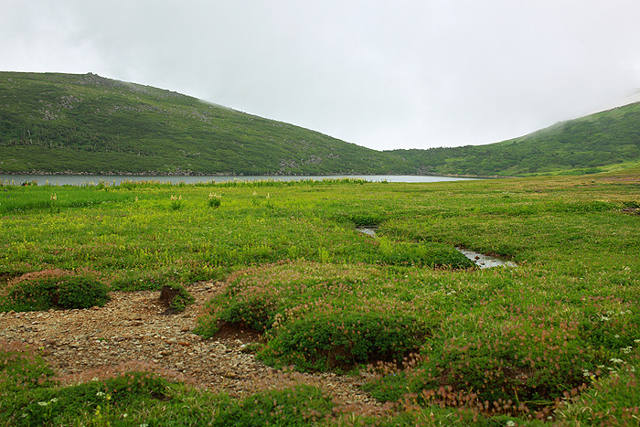a0148606_11531424.jpg