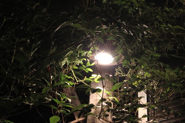f0226208_2255083.jpg