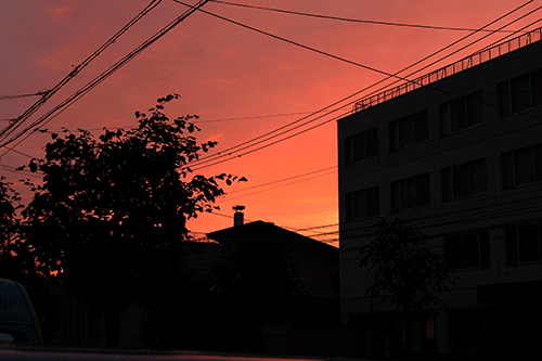 a0139912_18363461.gif