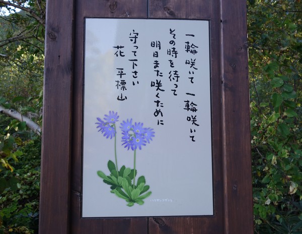 f0033314_2312564.jpg