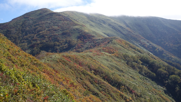 f0033314_2319538.jpg