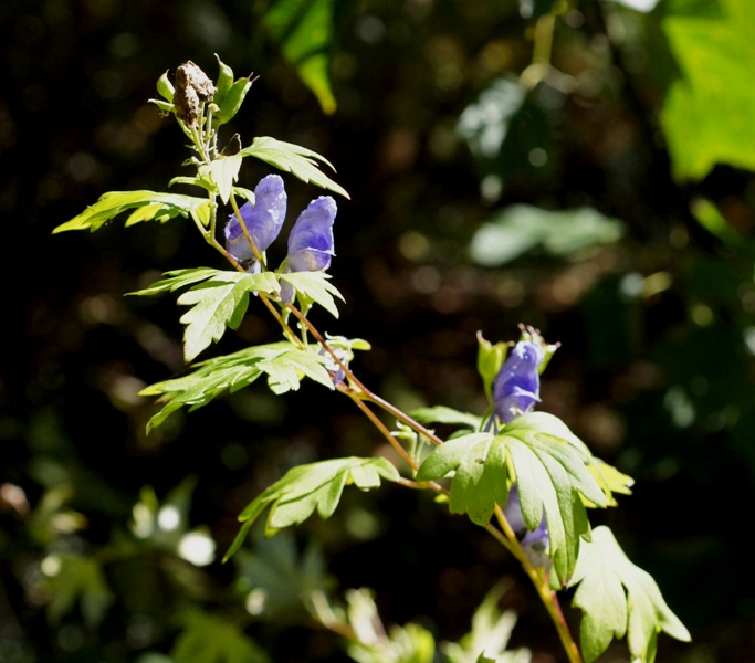 a0304423_235455100.jpg