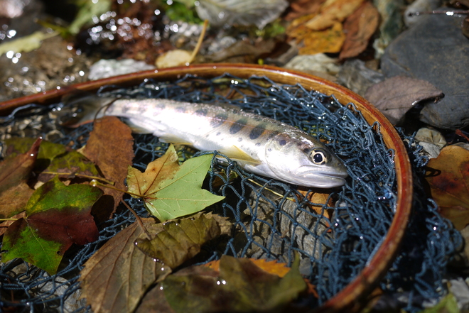 e0200926_1411136.jpg