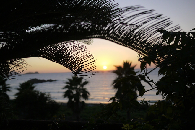 e0200926_1418494.jpg