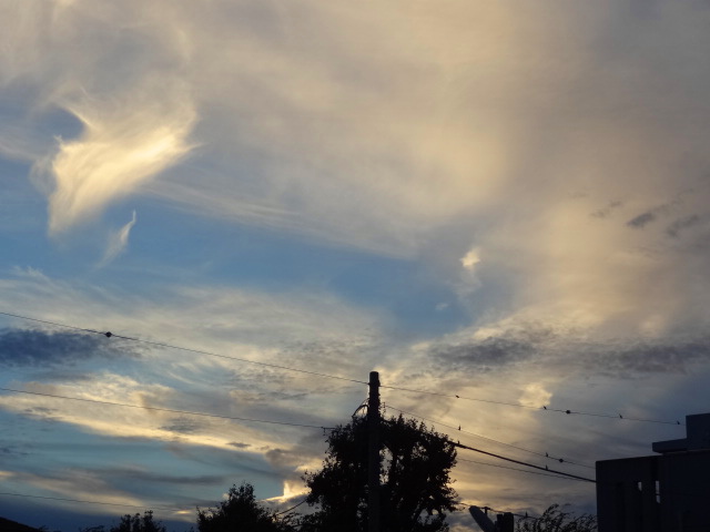 e0016828_14291091.jpg