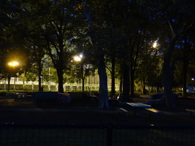 e0016828_1432071.jpg