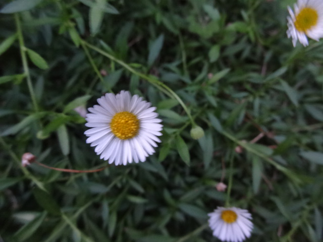 e0016828_15563098.jpg