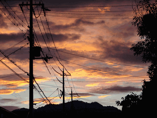 c0136736_21493017.gif