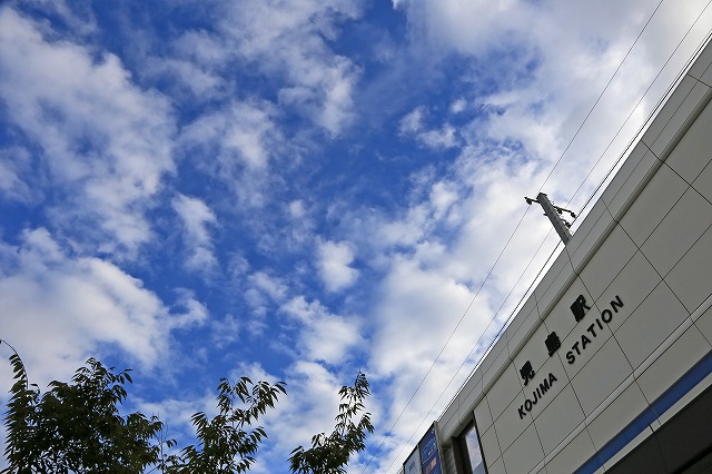 a0242438_19372813.jpg