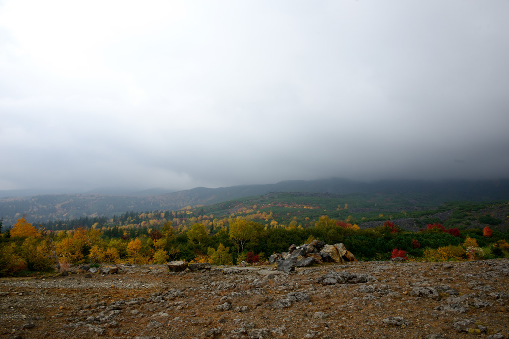 c0221838_0125630.jpg