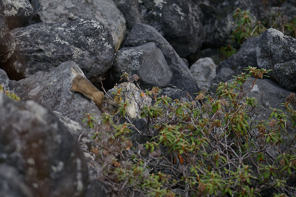c0221838_0222876.jpg