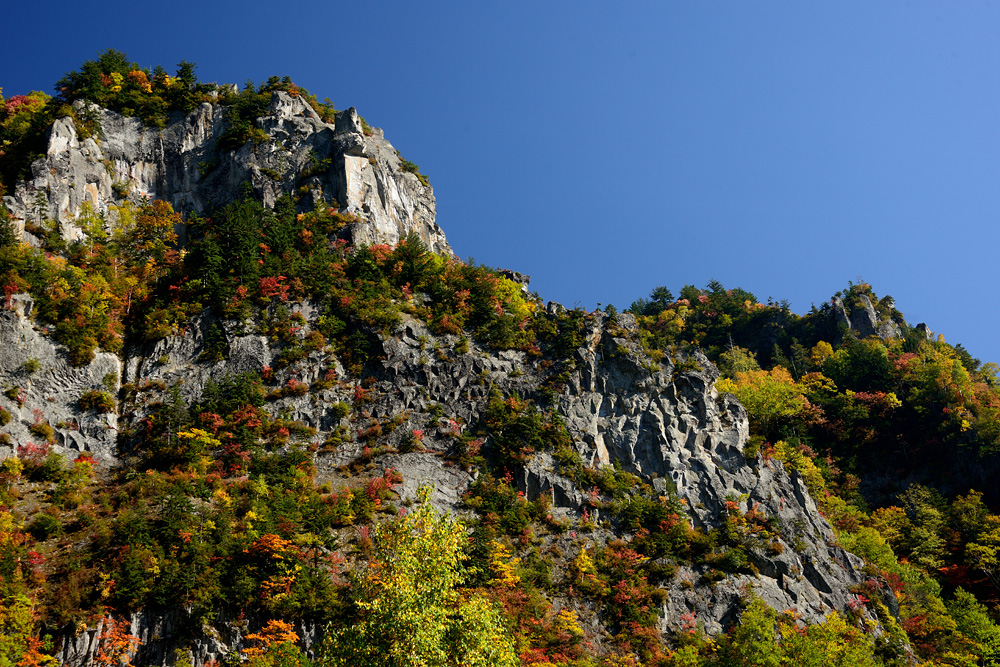 c0221838_23465443.jpg