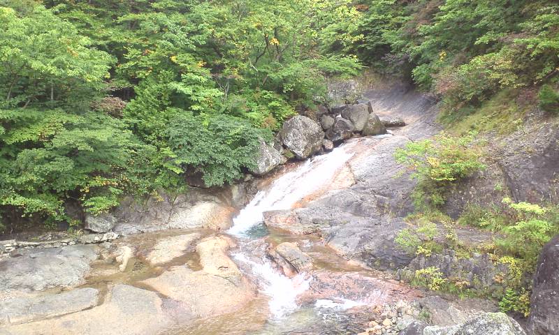 d0107938_12312264.jpg