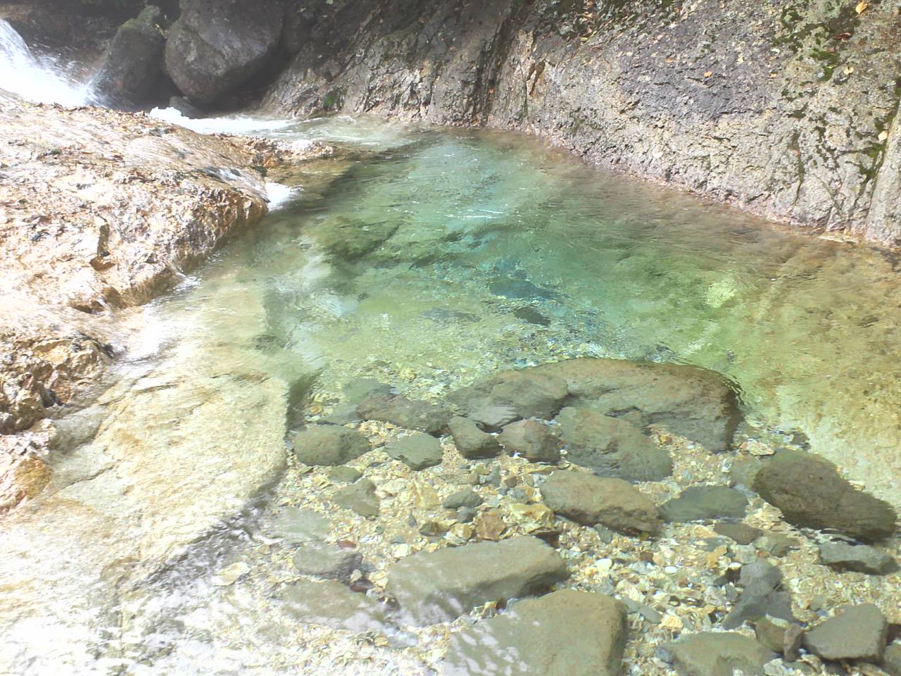 d0107938_1233677.jpg