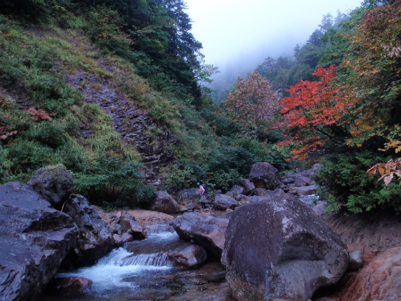 d0107938_123816.jpg