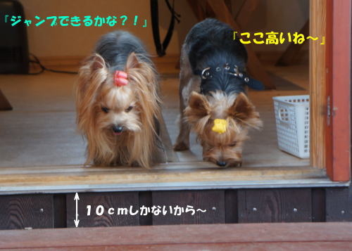 b0001440_1523115.jpg