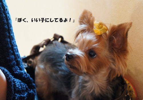 b0001440_15241891.jpg