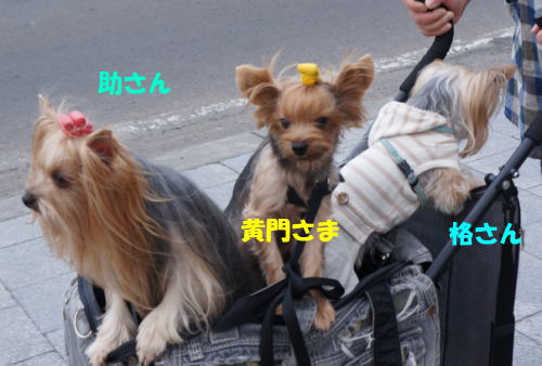 b0001440_15254441.jpg