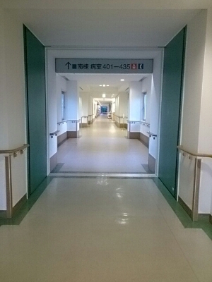b0075541_23311449.jpg
