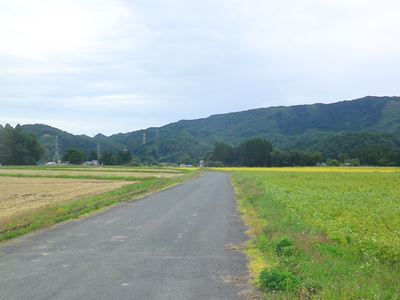 b0220251_13235330.jpg