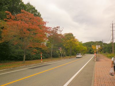 b0220251_1326859.jpg