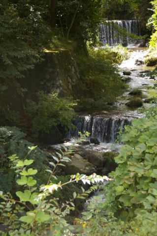 e0045768_22455953.jpg